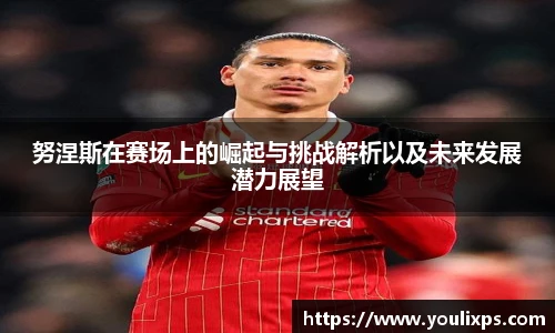 努涅斯在赛场上的崛起与挑战解析以及未来发展潜力展望
